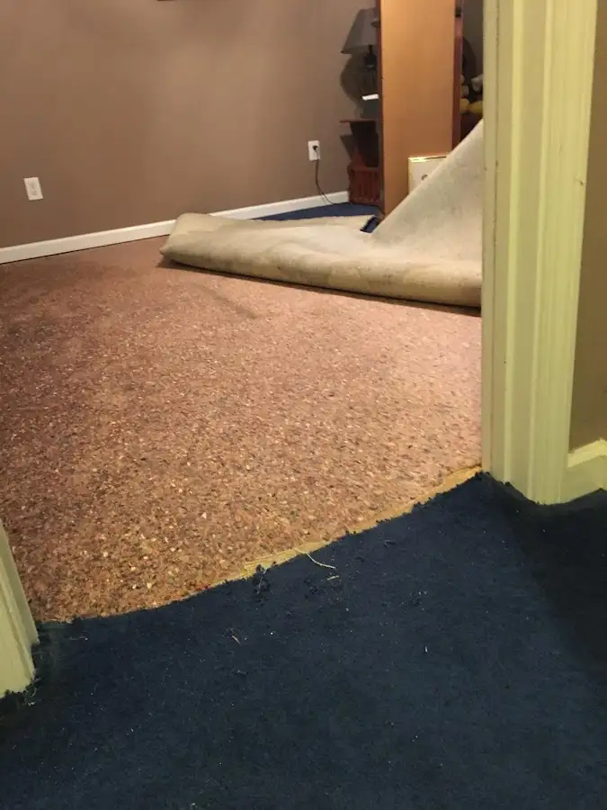 Carpet pad removal revealing water damage during Water Mitigation Services in Waunakee
